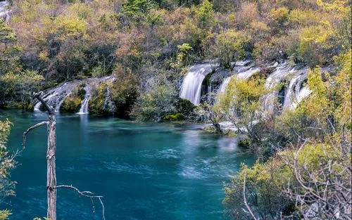 科技高端